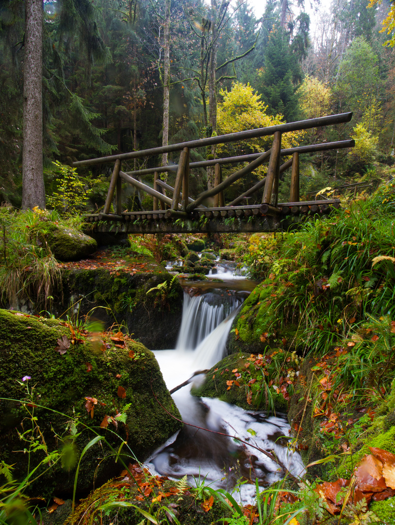 Irgendwo im Schwarzwald - Gertelbach