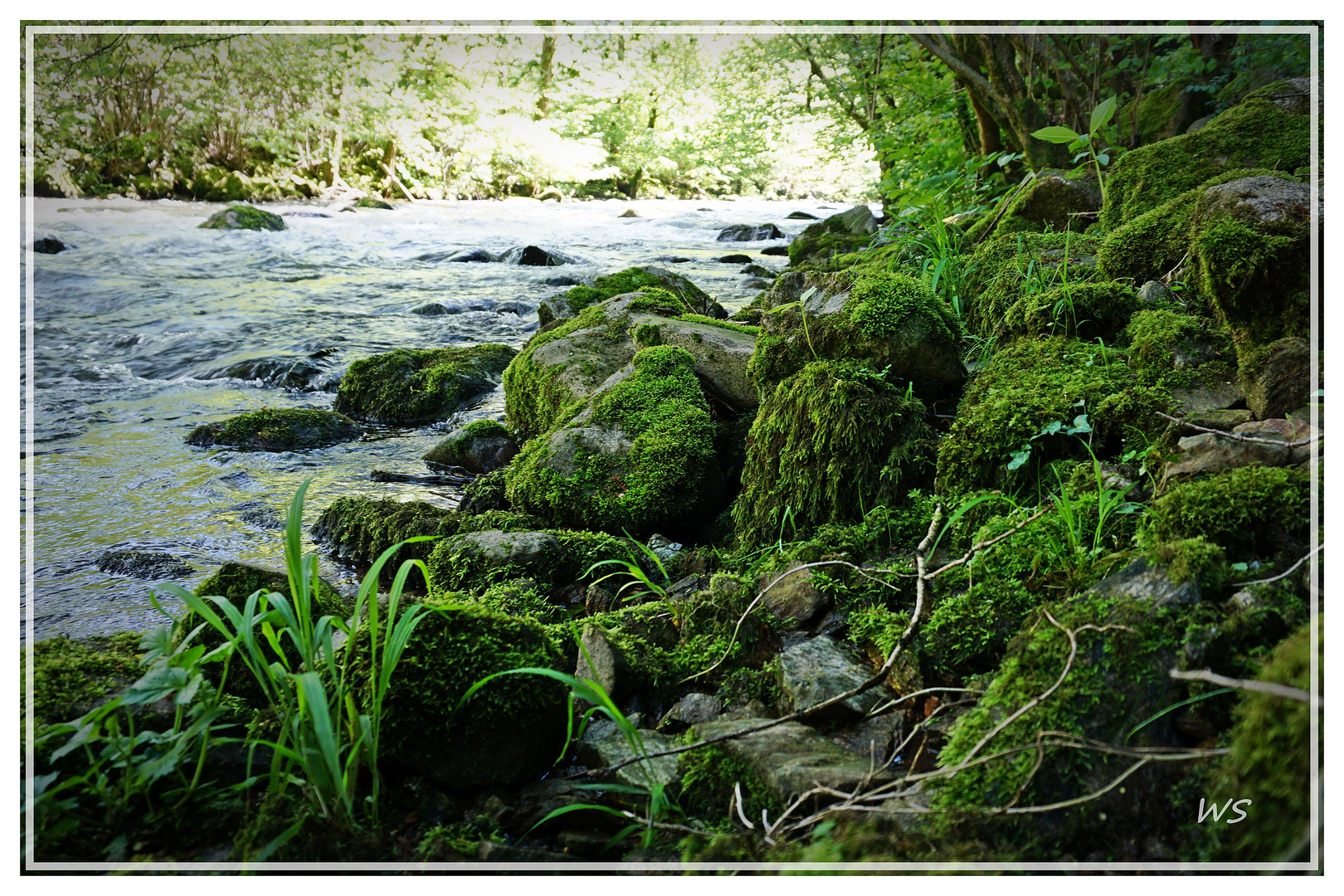 Irgendwo im Schwarzwald . . . . Gutach