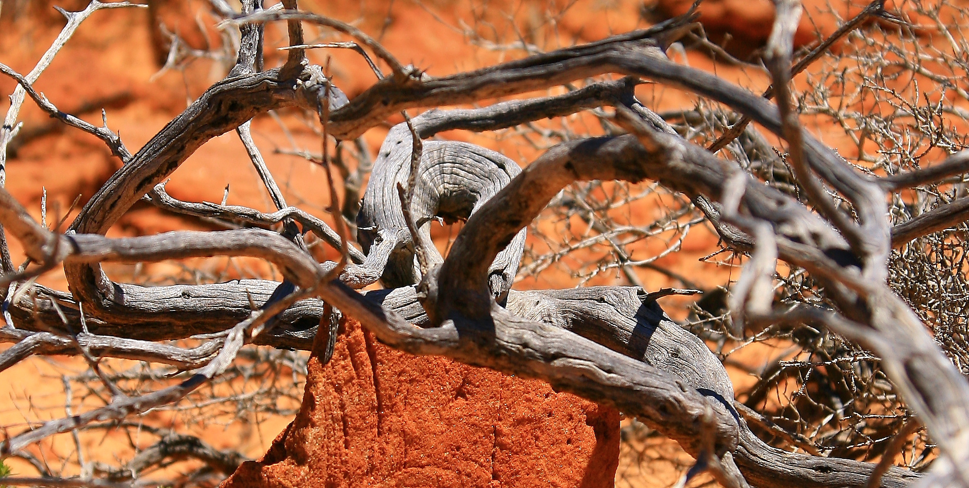 Irgendwo im West Australischem Outback