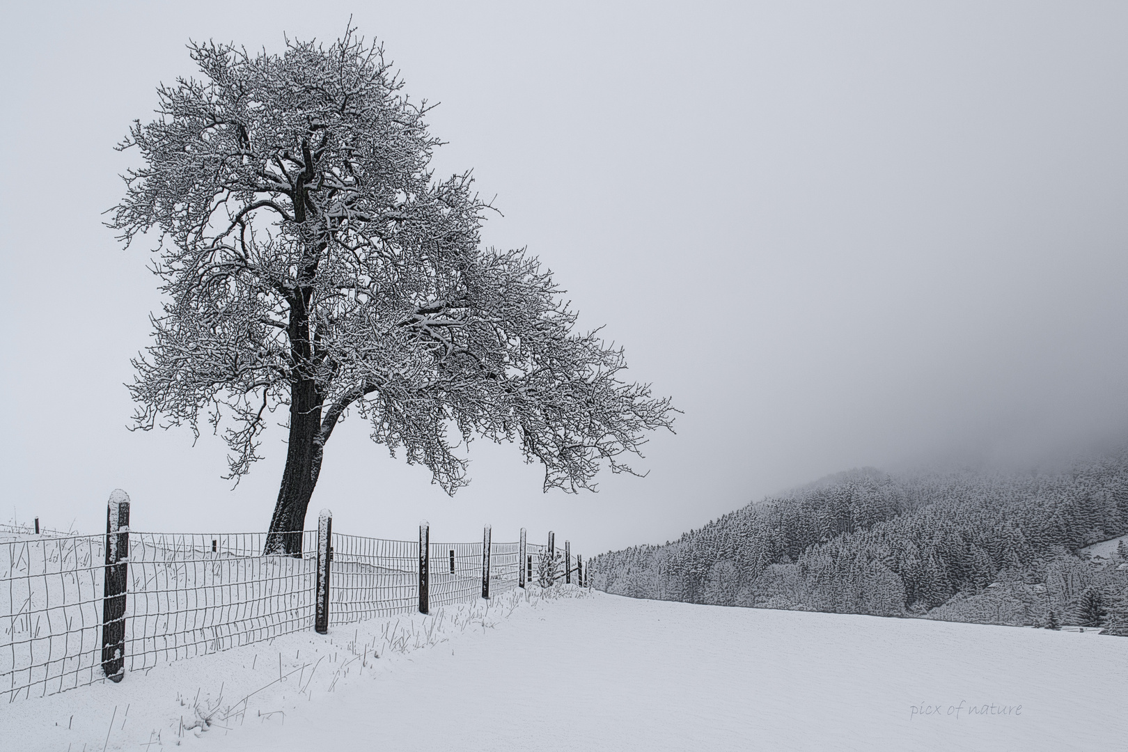 irgendwo im Winterland