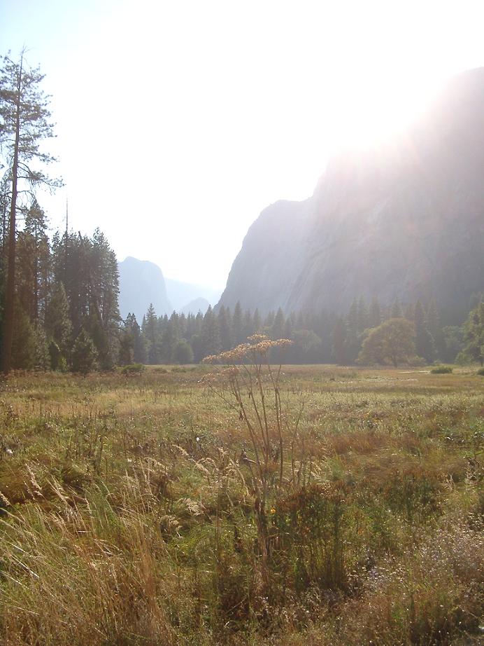 Irgendwo im Yosemite National Park