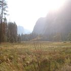 Irgendwo im Yosemite National Park