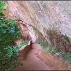 Irgendwo im Zion Nationalpark