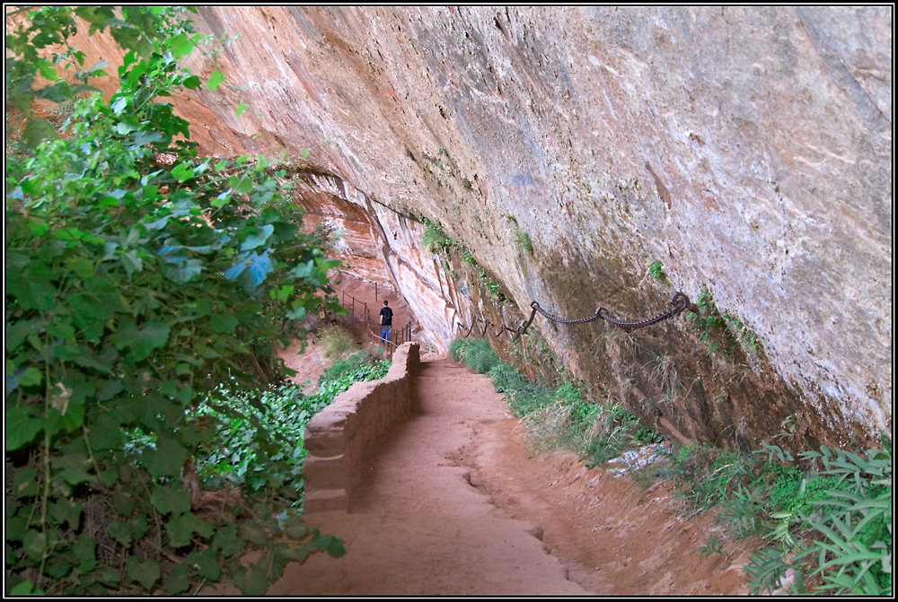 Irgendwo im Zion Nationalpark