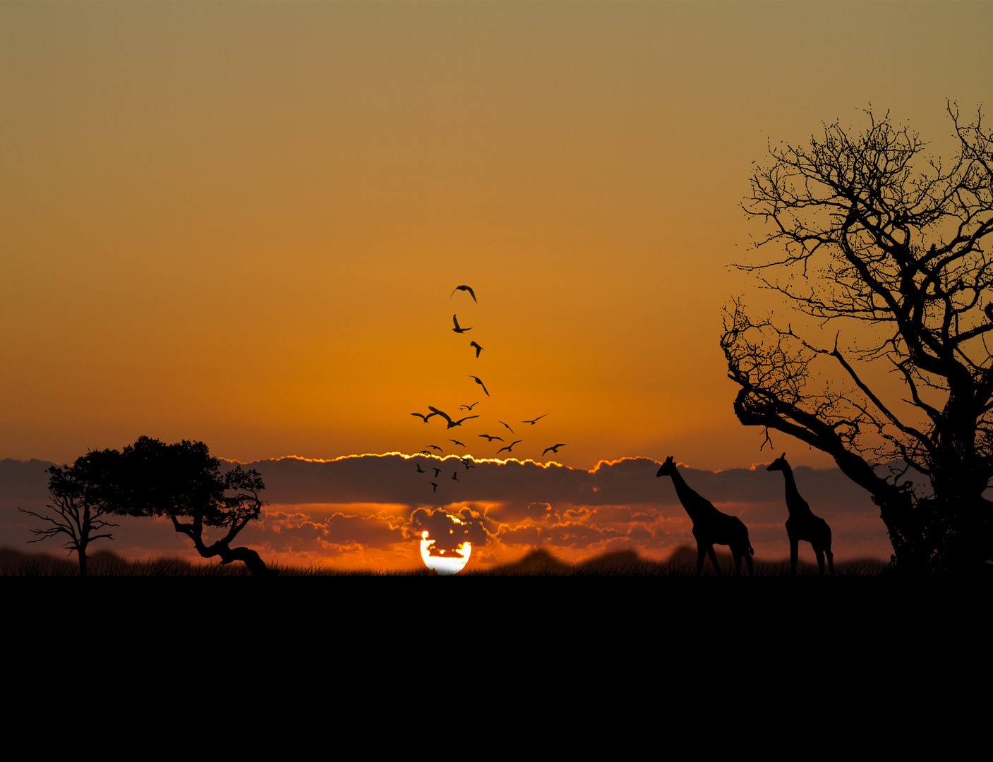 Irgendwo in Afrika