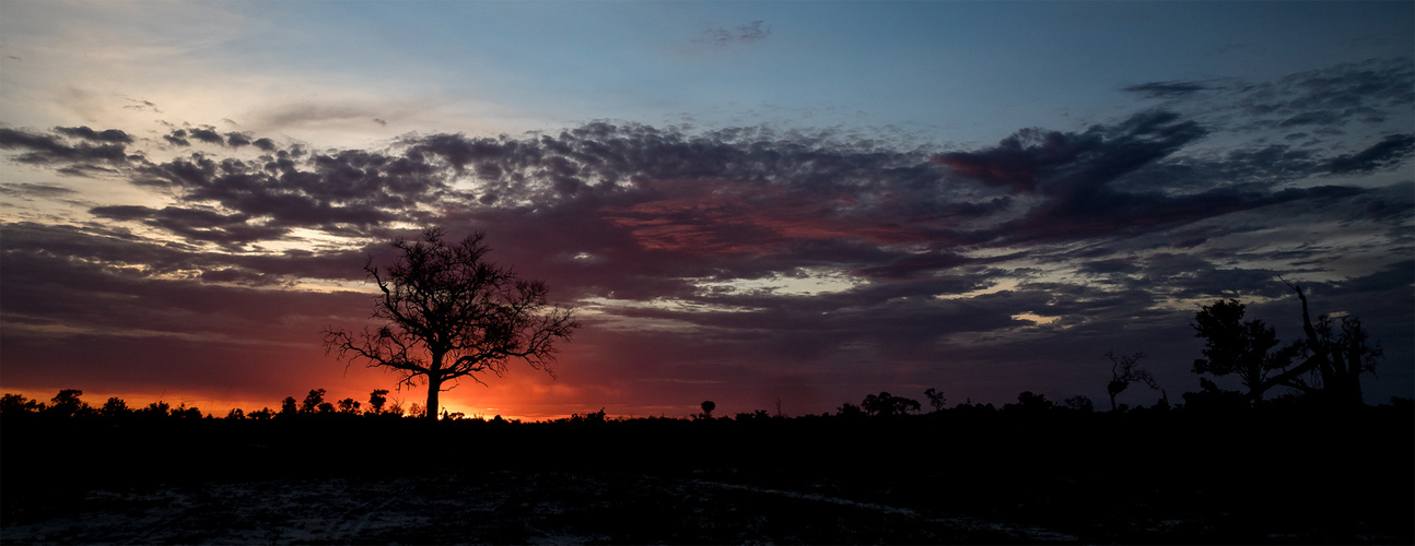 Irgendwo in Afrika