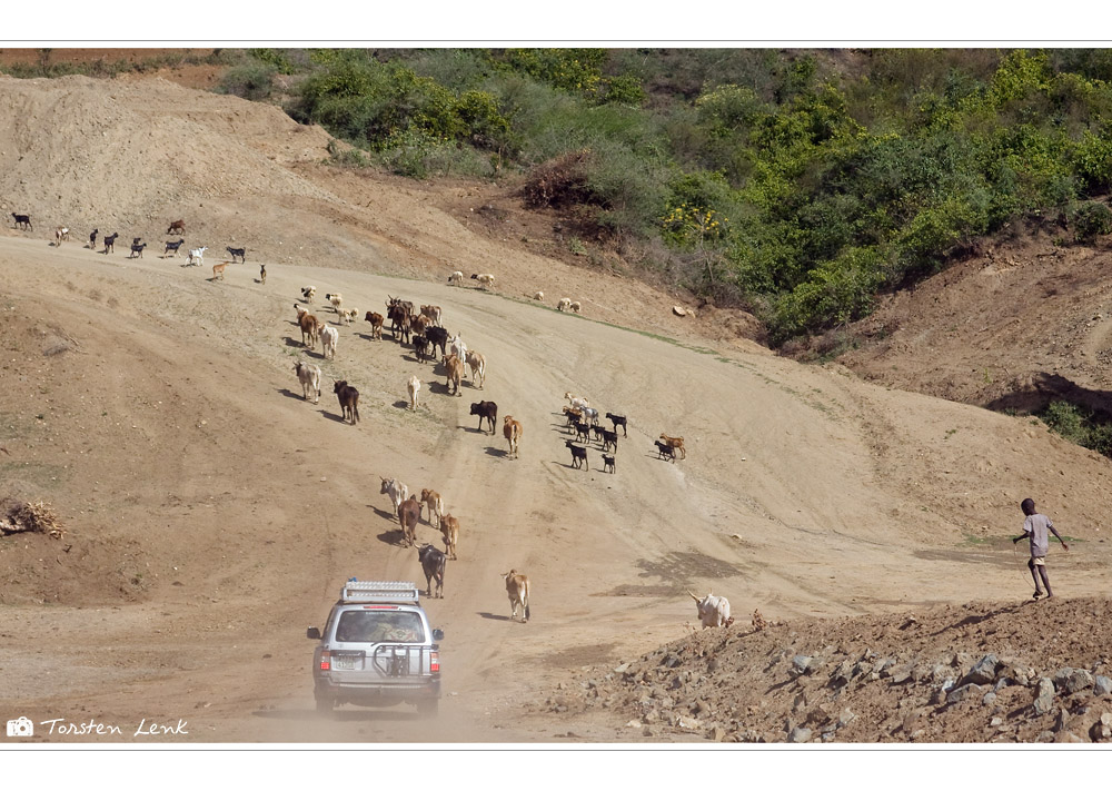 Irgendwo in Afrika