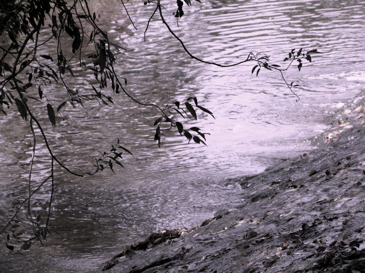 irgendwo in Baden-Württemberg