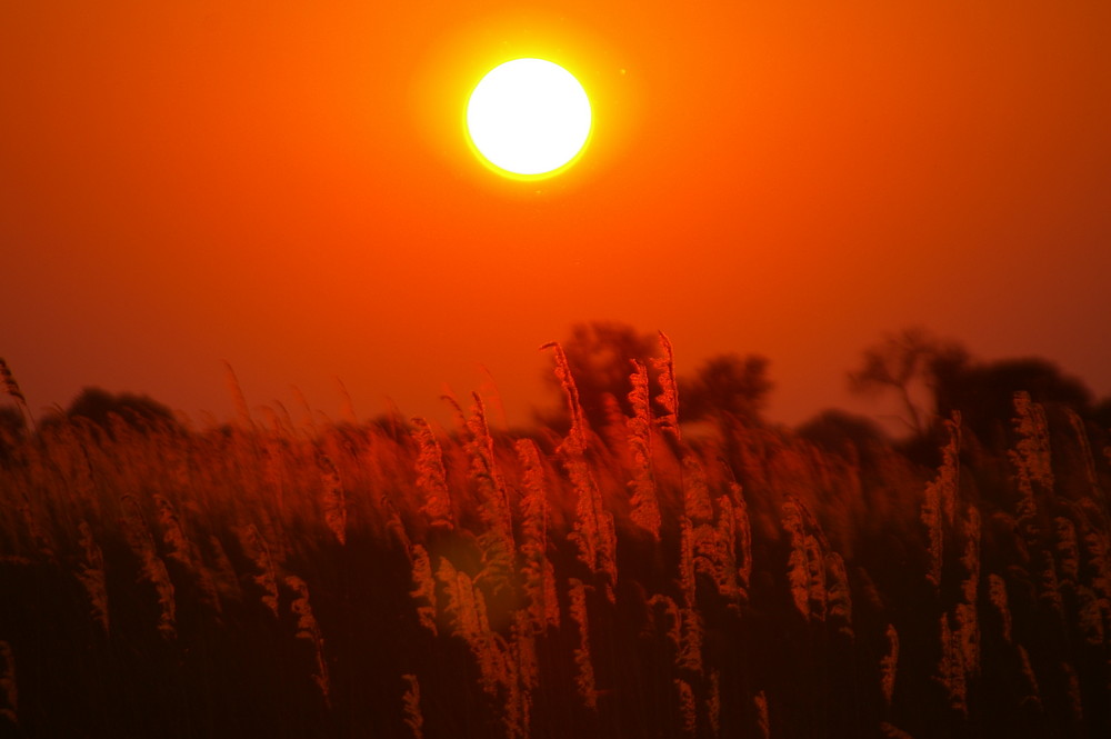 Irgendwo in Botswana, Zambia oder Simbabwe