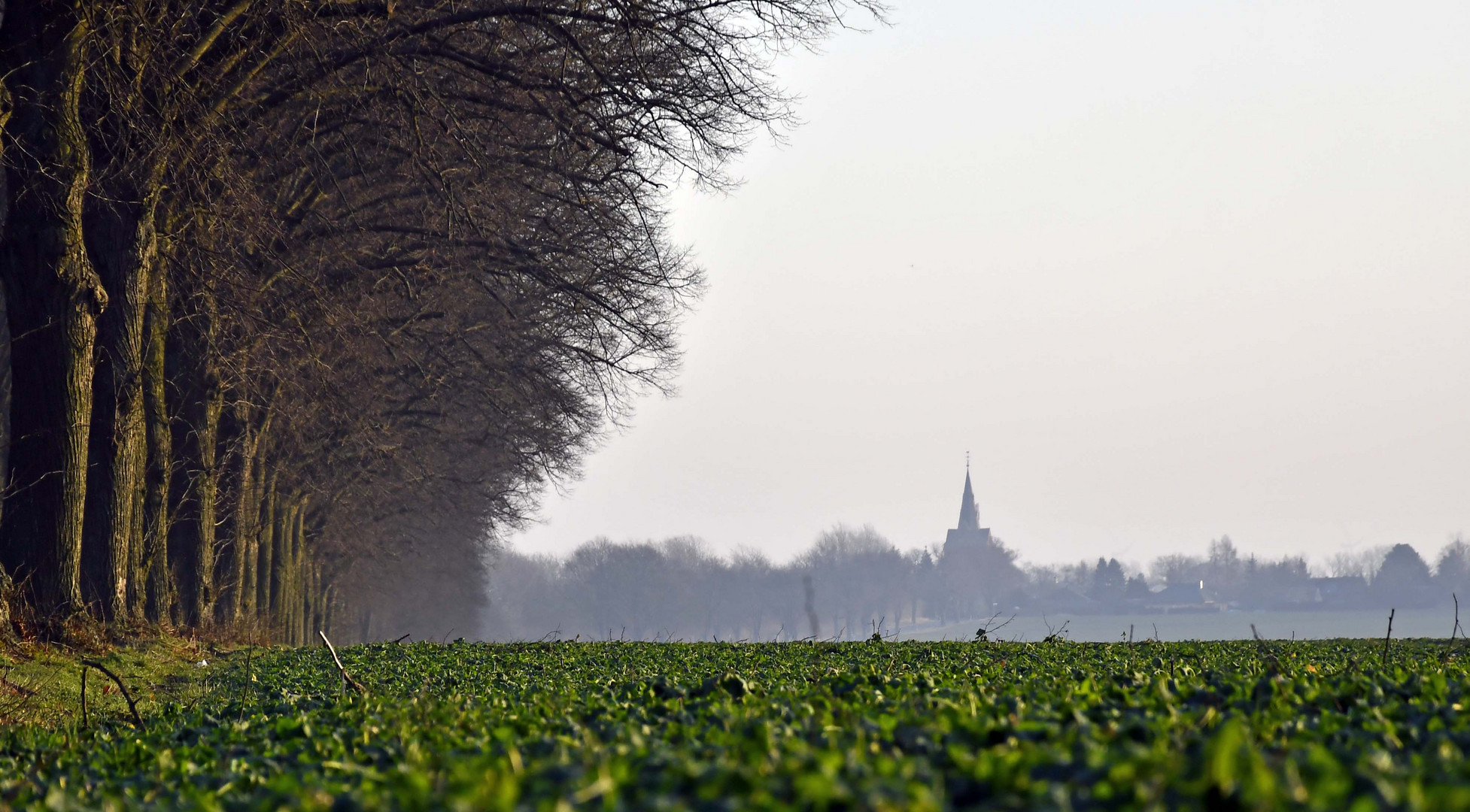 irgendwo in Brandenburg