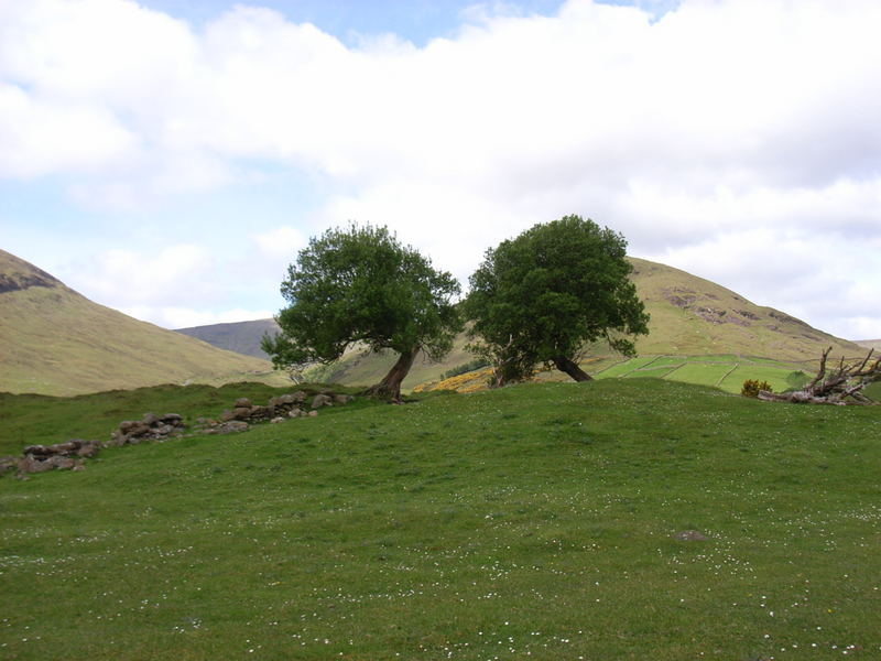 Irgendwo in Connemara