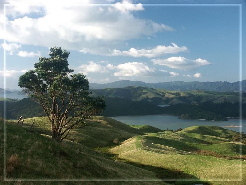 irgendwo in Coromandel