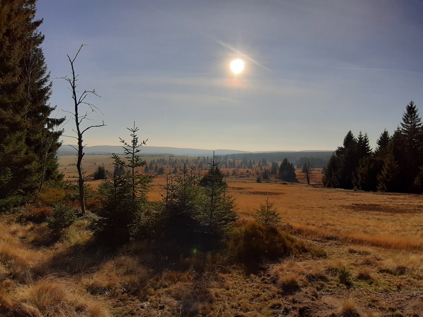 Irgendwo in CZ an der Grenze zu Sachsen