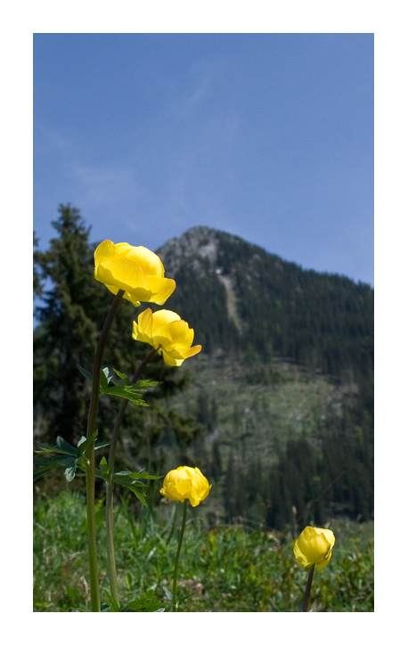 irgendwo in den Bayerischen Alpen...