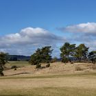 Irgendwo in der Eifel