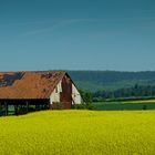 Irgendwo in der Eifel