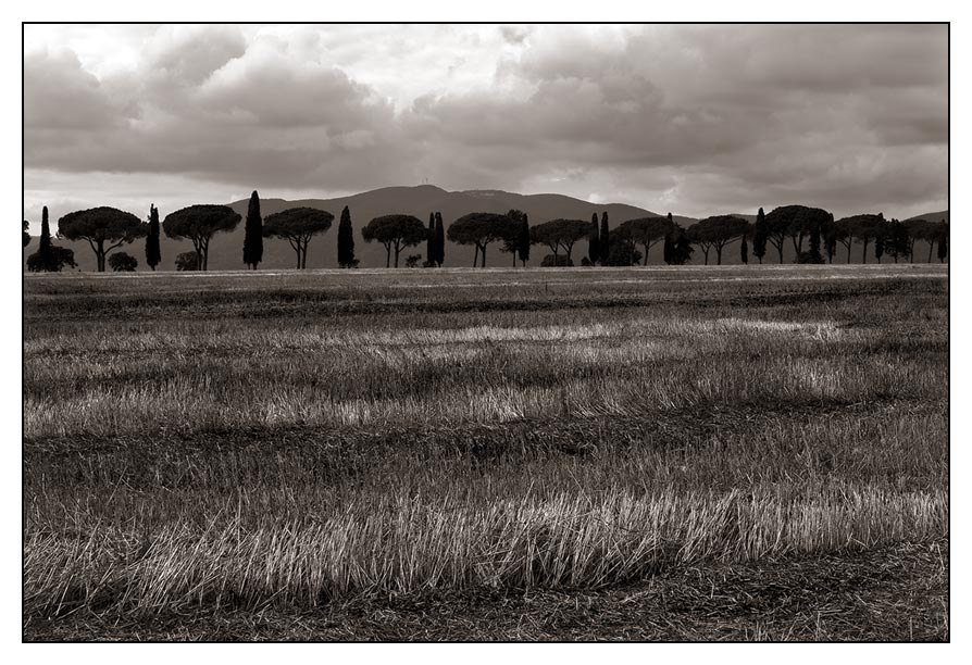 irgendwo in der Maremma-Ebene