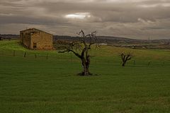 irgendwo in der Nähe von Sineu