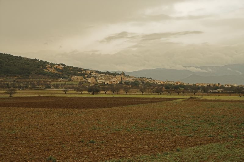 irgendwo in der Nähe von Sineu II