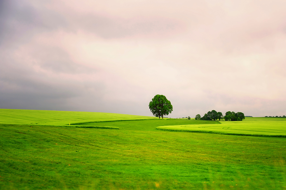 Irgendwo in der Oberlausitz