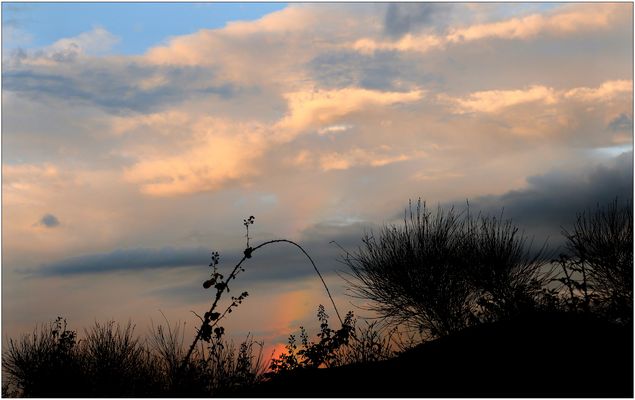 Irgendwo in der Provence