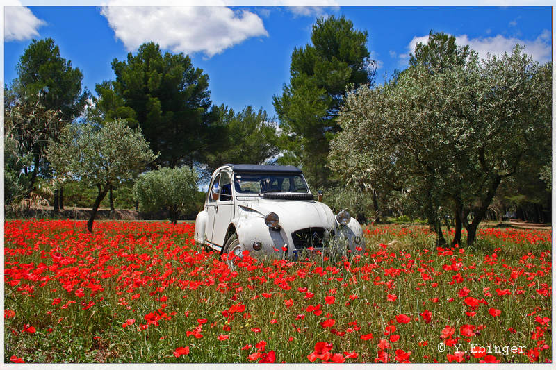 irgendwo in der Provence