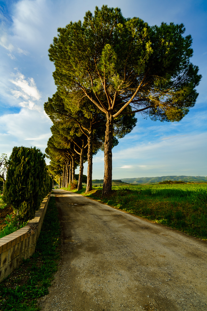 Irgendwo in der Toscana