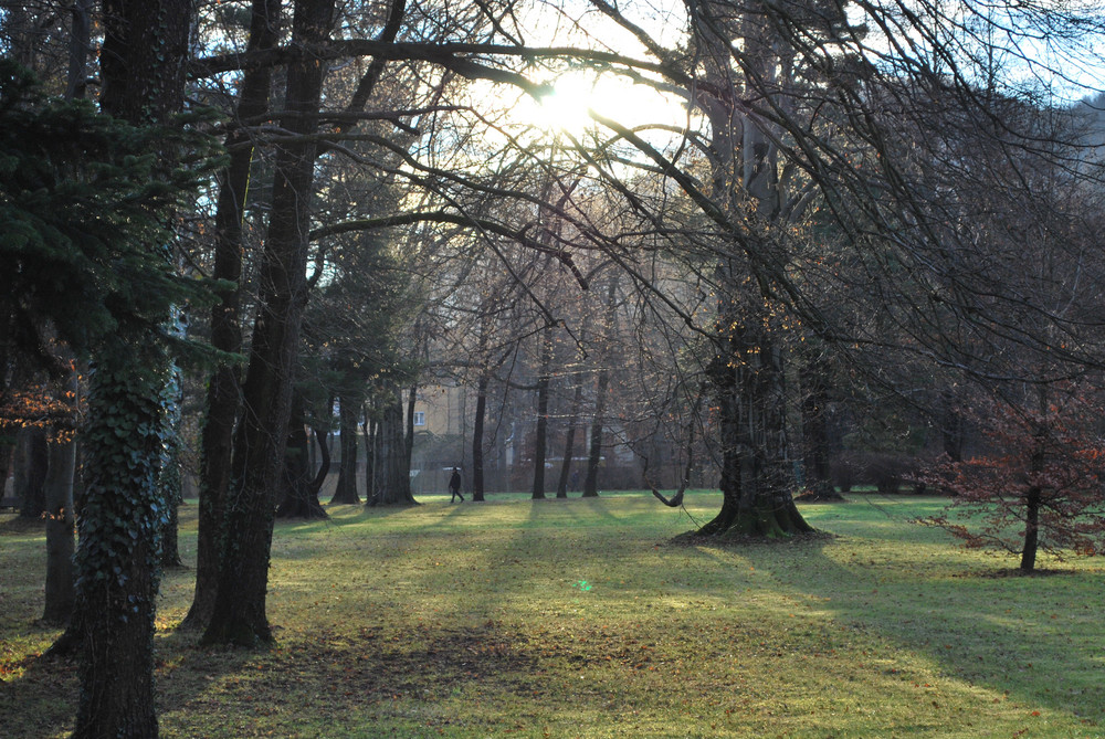 irgendwo in einen Park