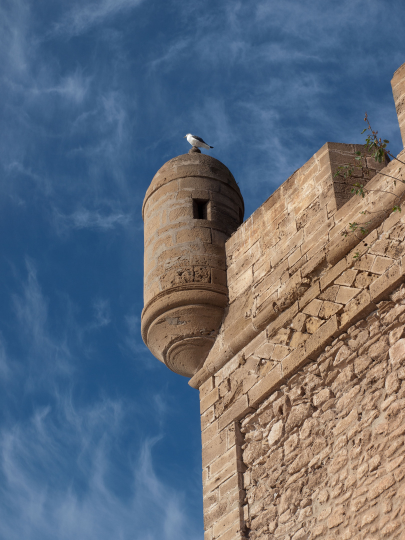 irgendwo in Essaouira