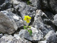 irgendwo in Garmisch auf einem laaangen Wanderweg...