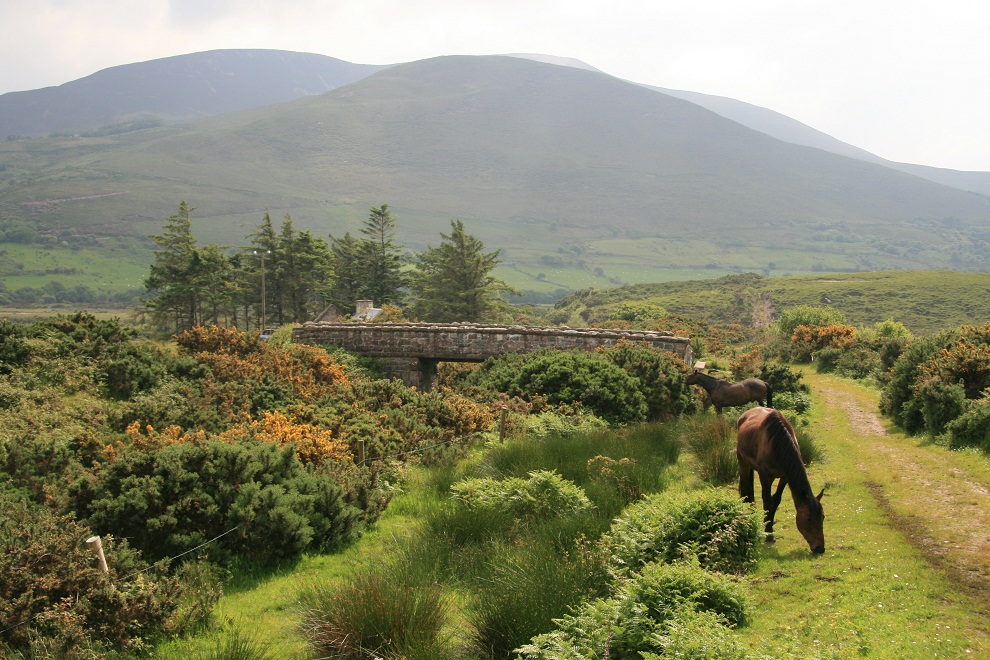 Irgendwo in Irland