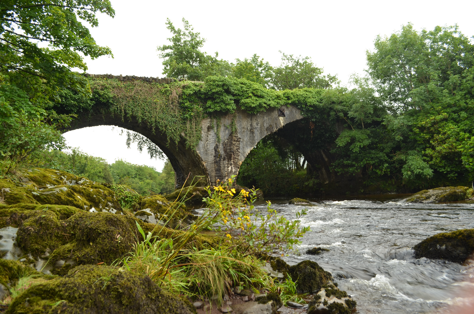 Irgendwo in Irland