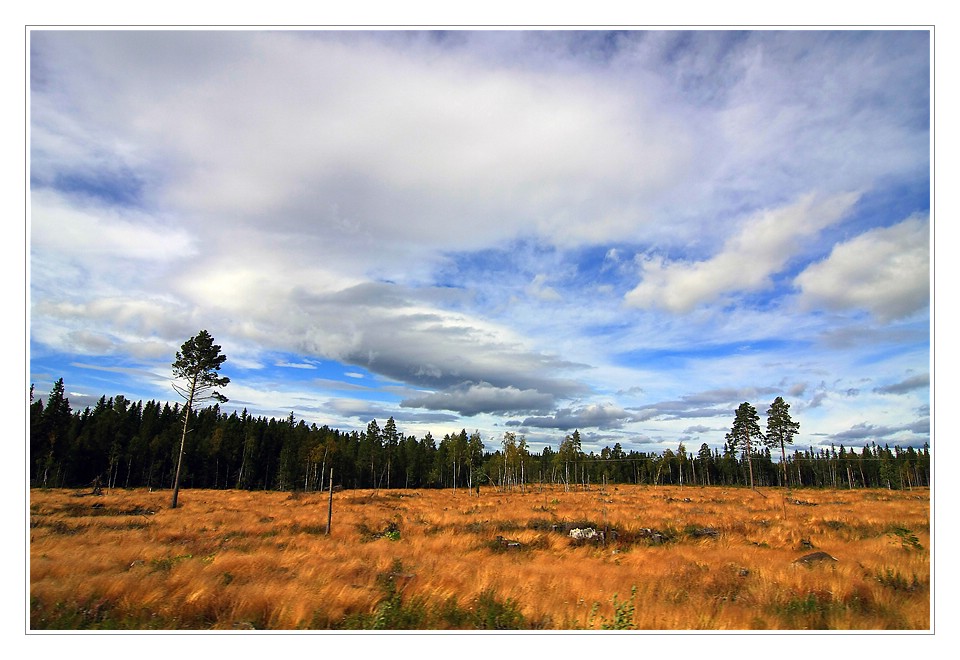 Irgendwo in Jämtland - Mittelschweden