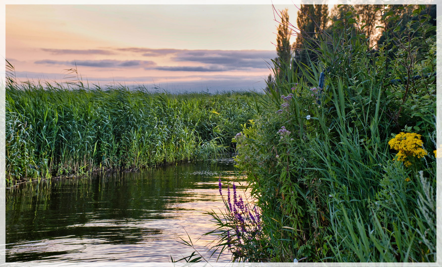 Irgendwo in Meerwijk