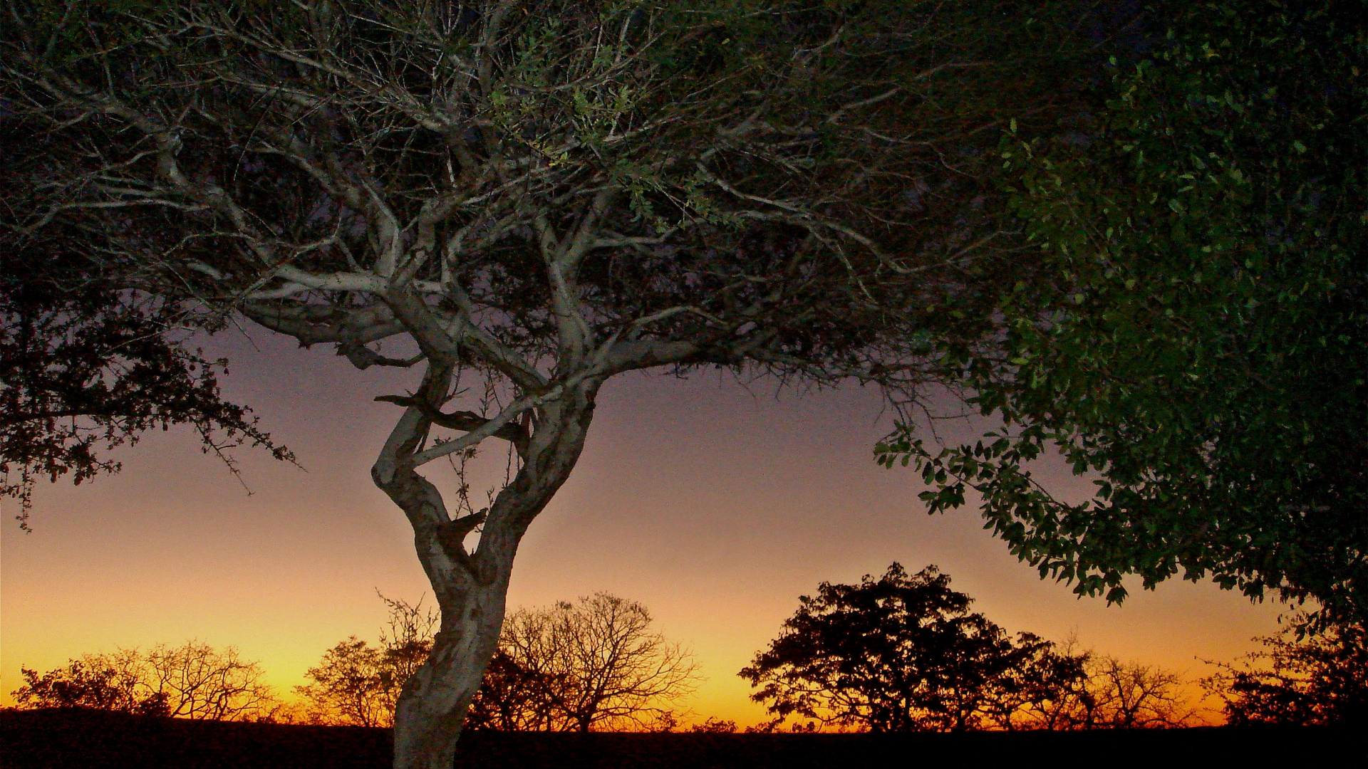 irgendwo in Namibia ...