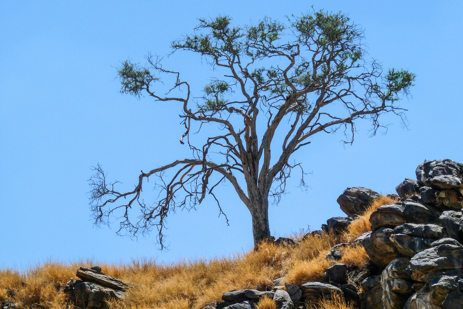 Irgendwo in Namibia