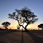 irgendwo in Namibia