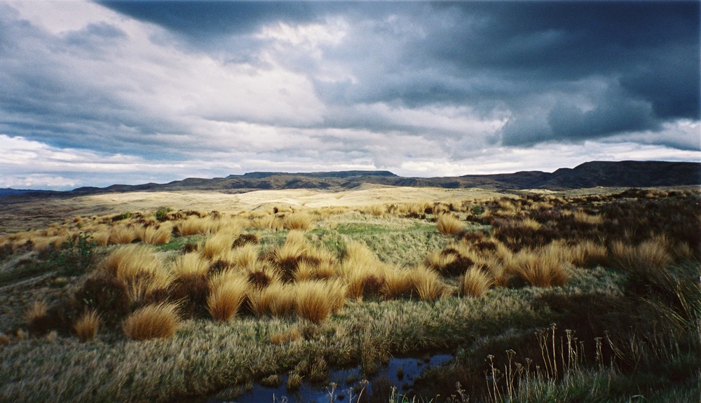 Irgendwo in Neuseeland