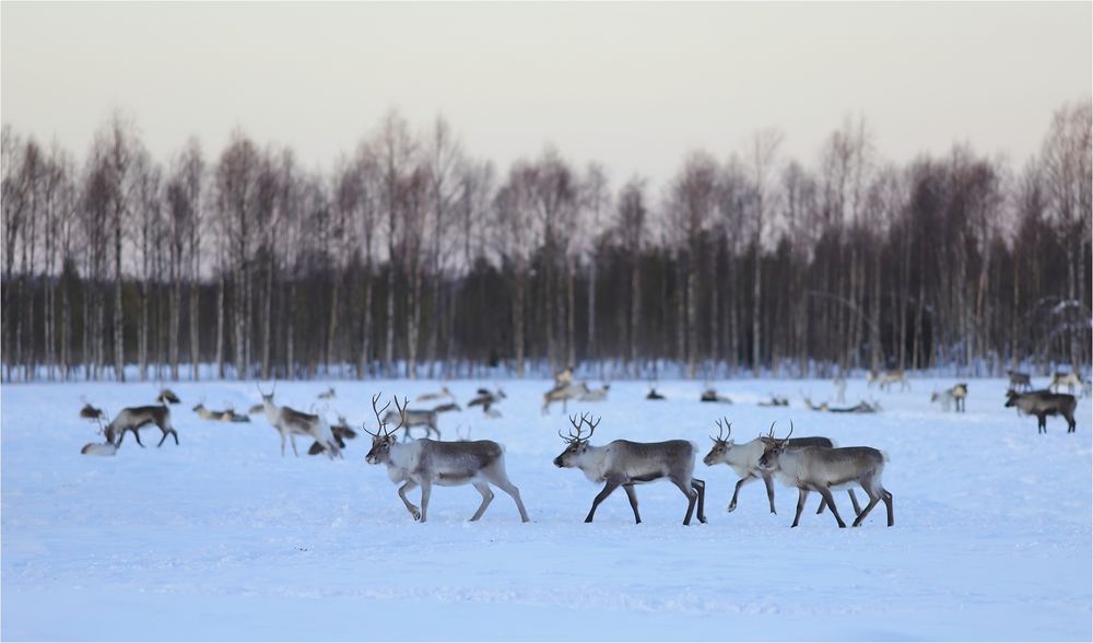 Irgendwo in Nordfinnland