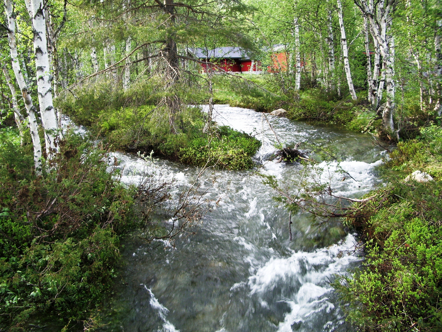 Irgendwo in Norwegen ....