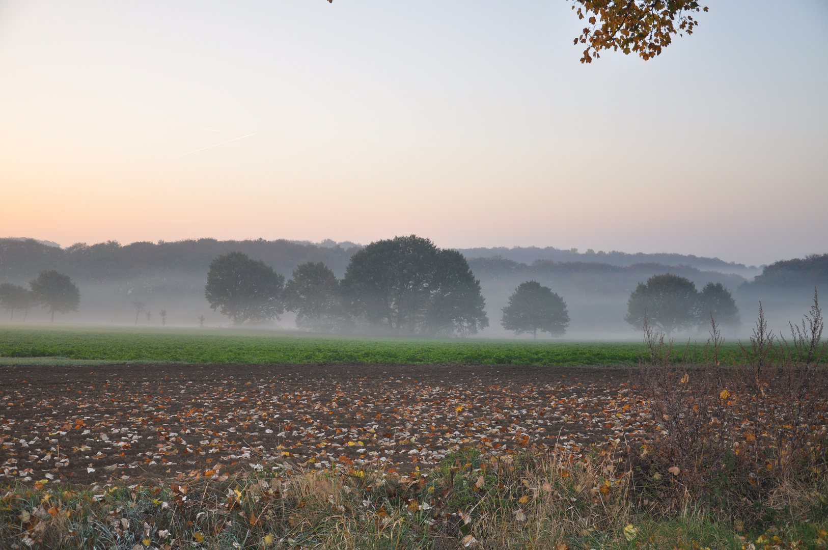 Irgendwo in Nrw