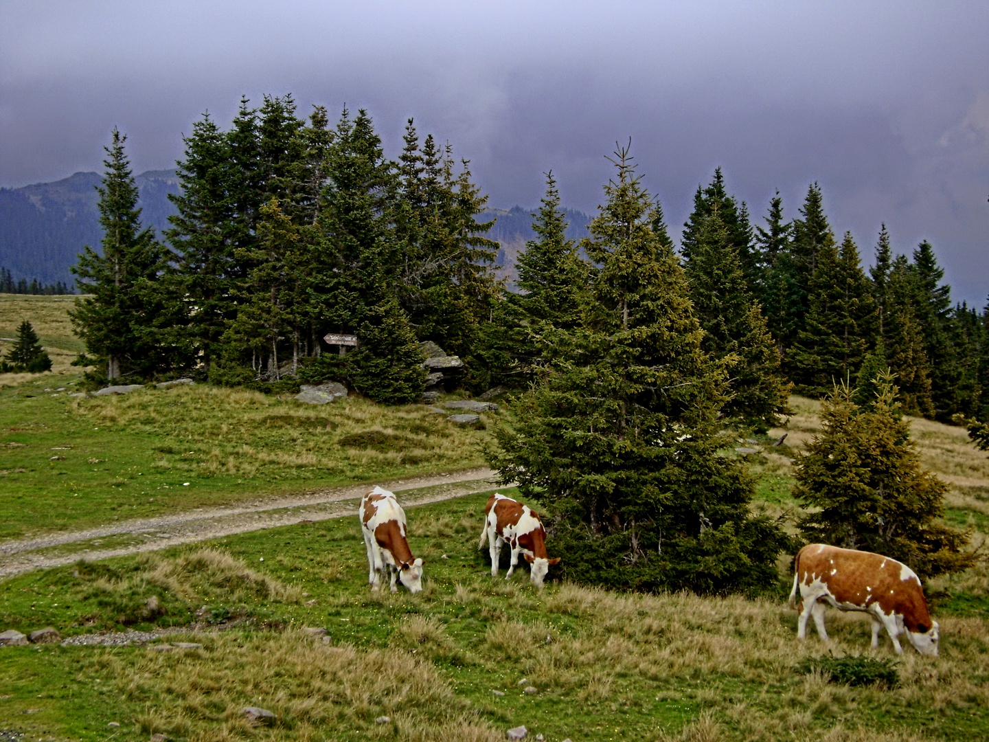 "Irgendwo in Österreich"