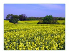 Irgendwo in Schleswig-Holstein....