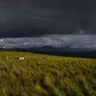 ...irgendwo in Schottland (abends, 5 min später)