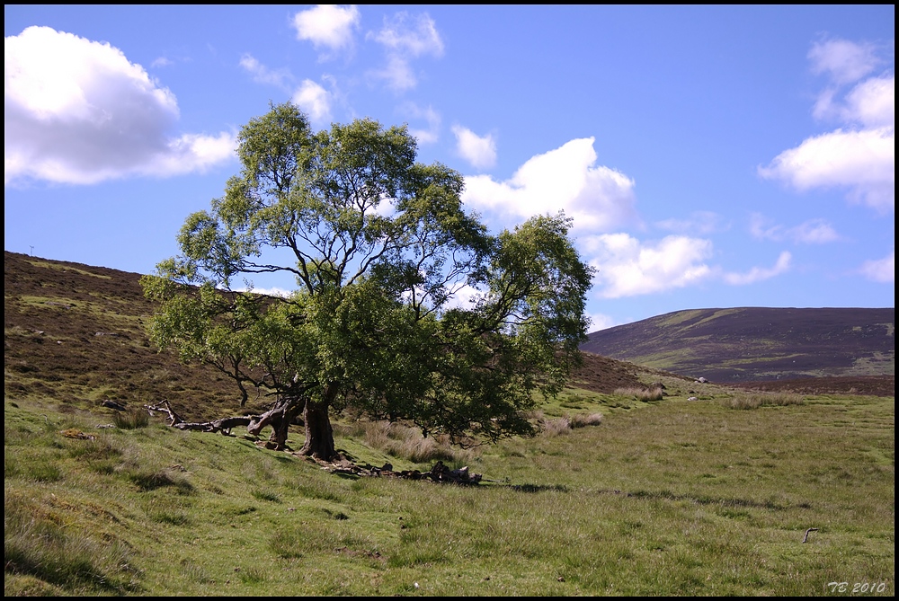 irgendwo in Schottland