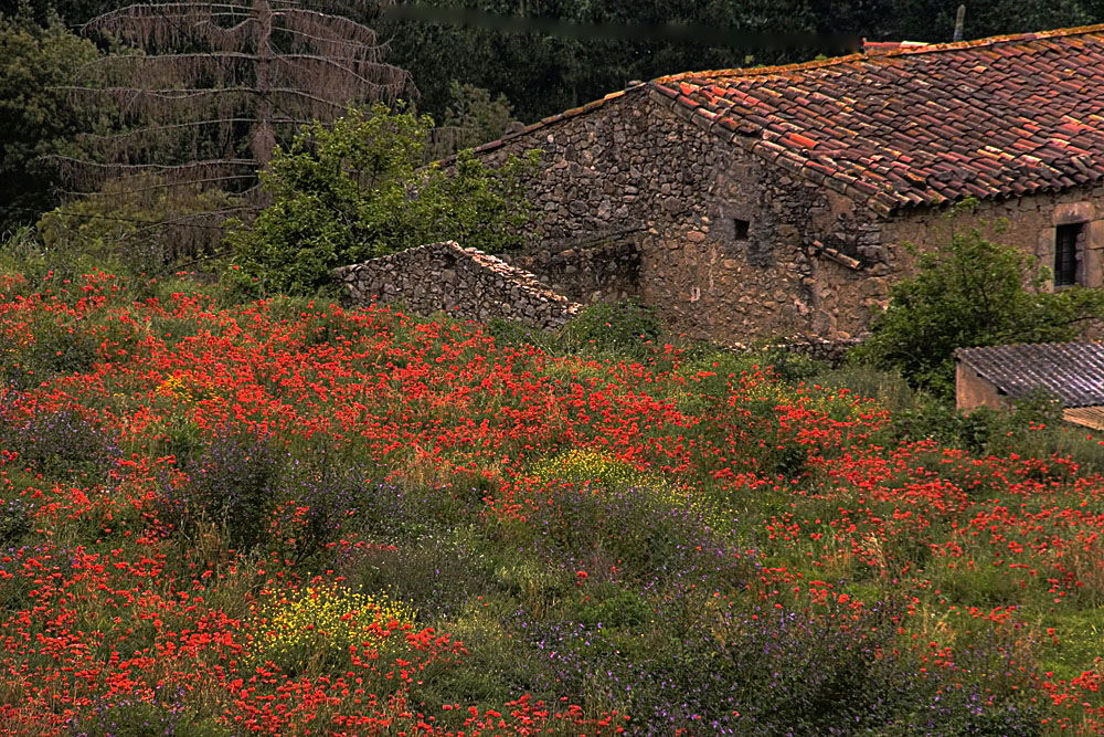 Irgendwo in Spanien