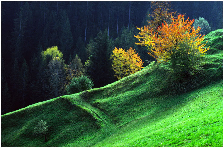 irgendwo in Südtirol