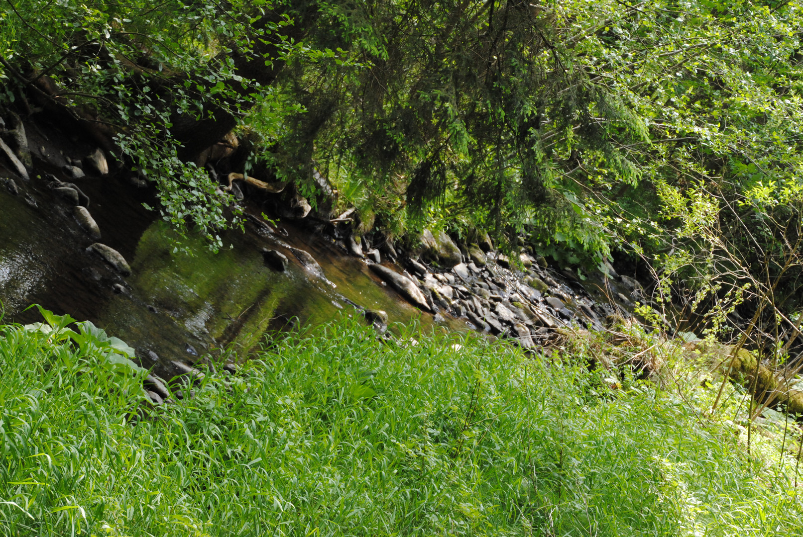 irgendwo in Thüringen