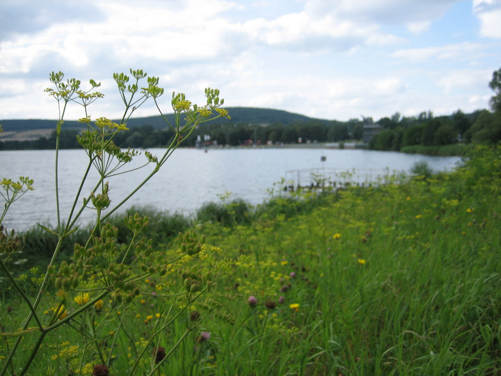 Irgendwo in Thüringen