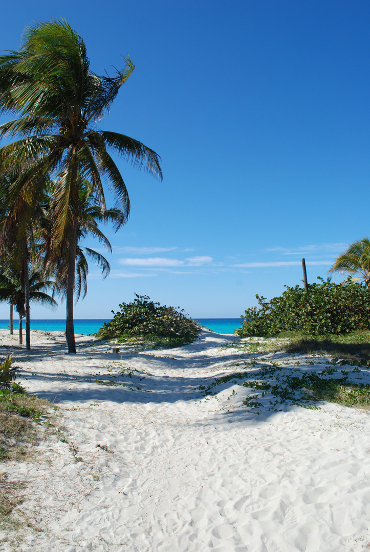 Irgendwo In Varadero